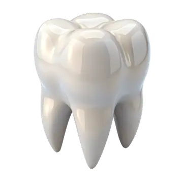 Tooth